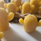 Beeswax Cactus Candles
