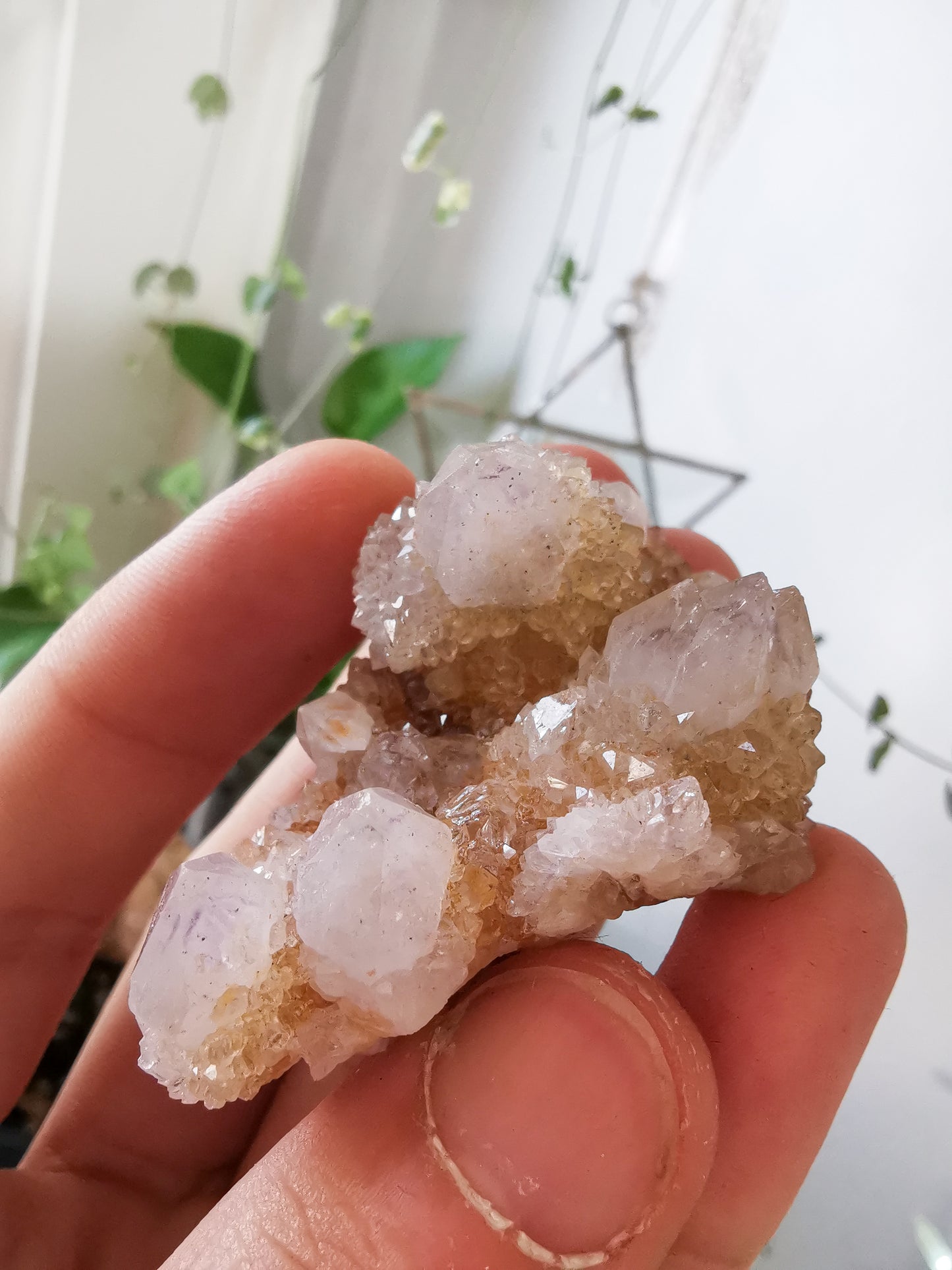 Cactus Quartz #2