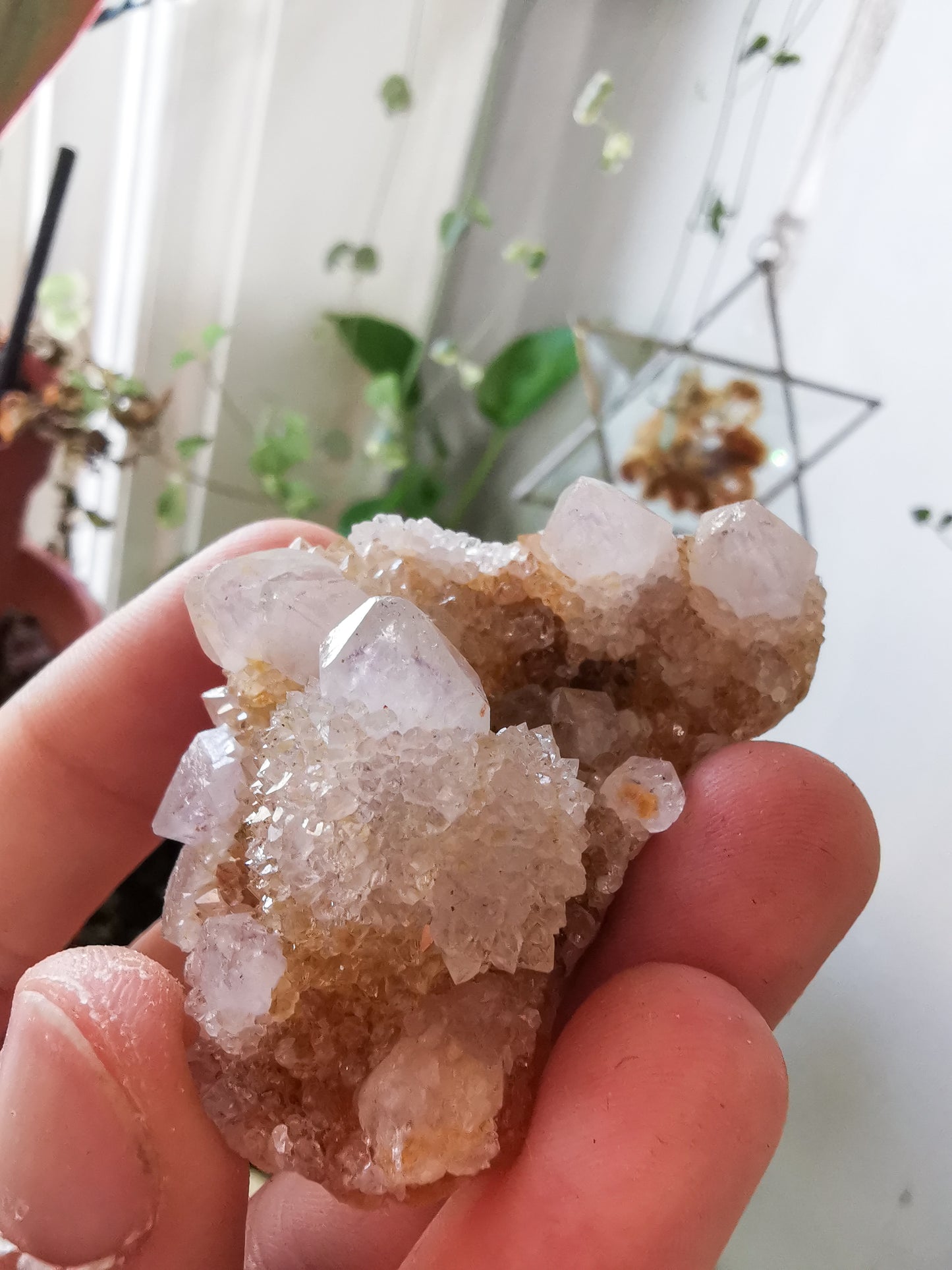 Cactus Quartz #2