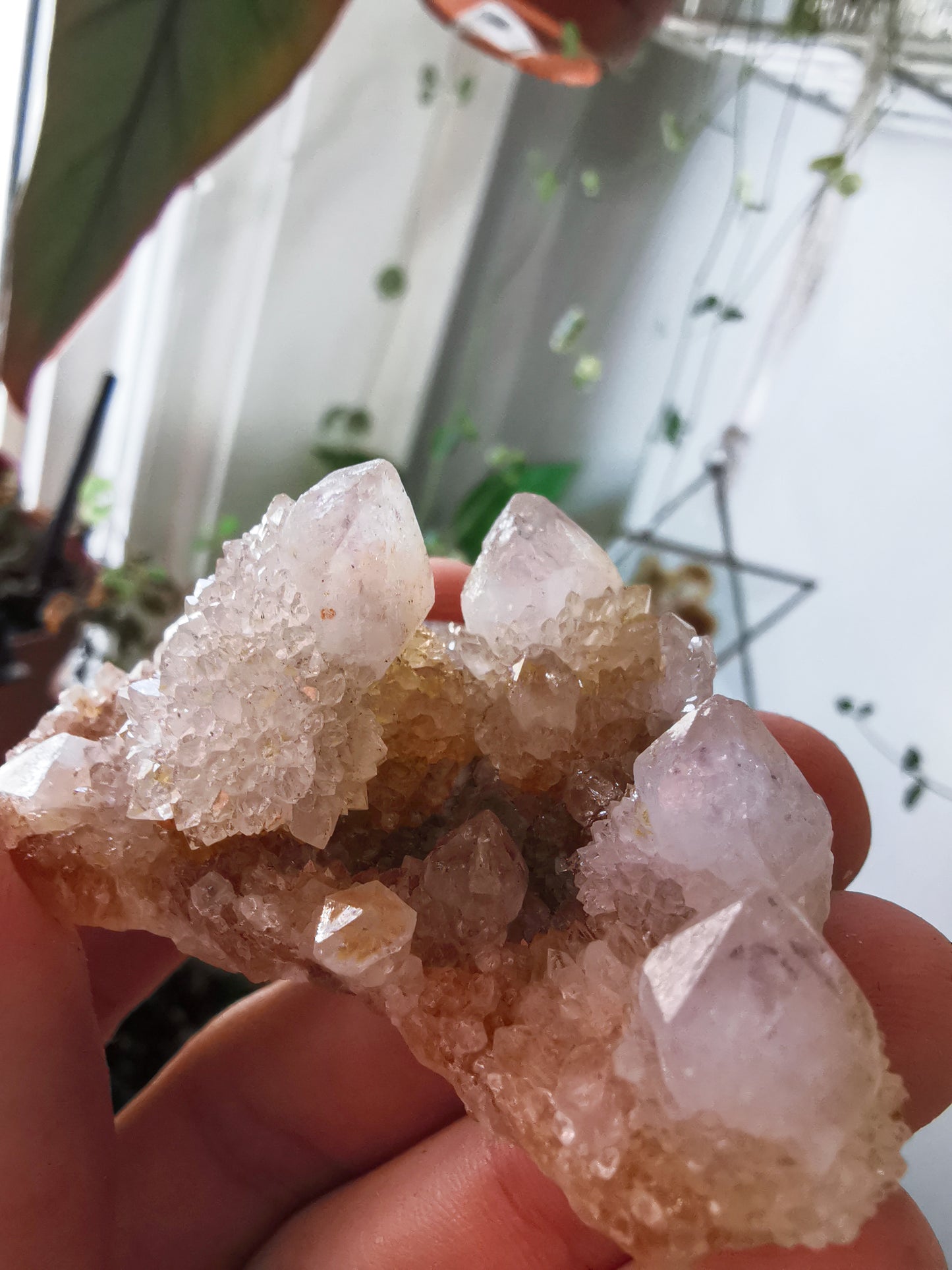 Cactus Quartz #2