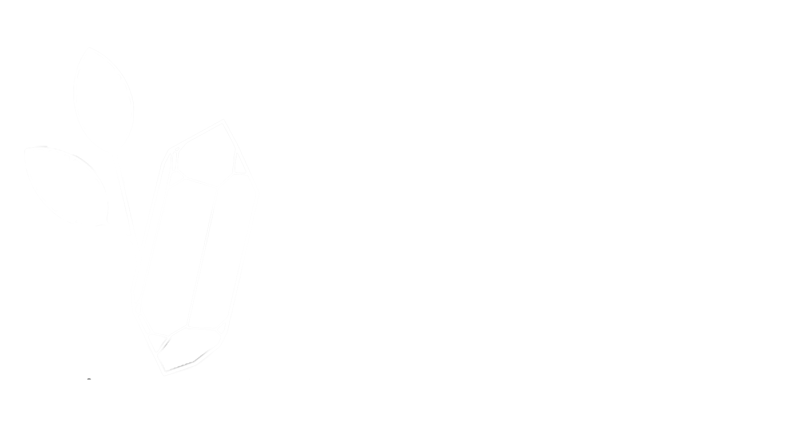 The Mineral Garden