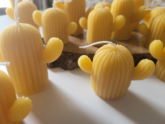 Beeswax Cactus Candles
