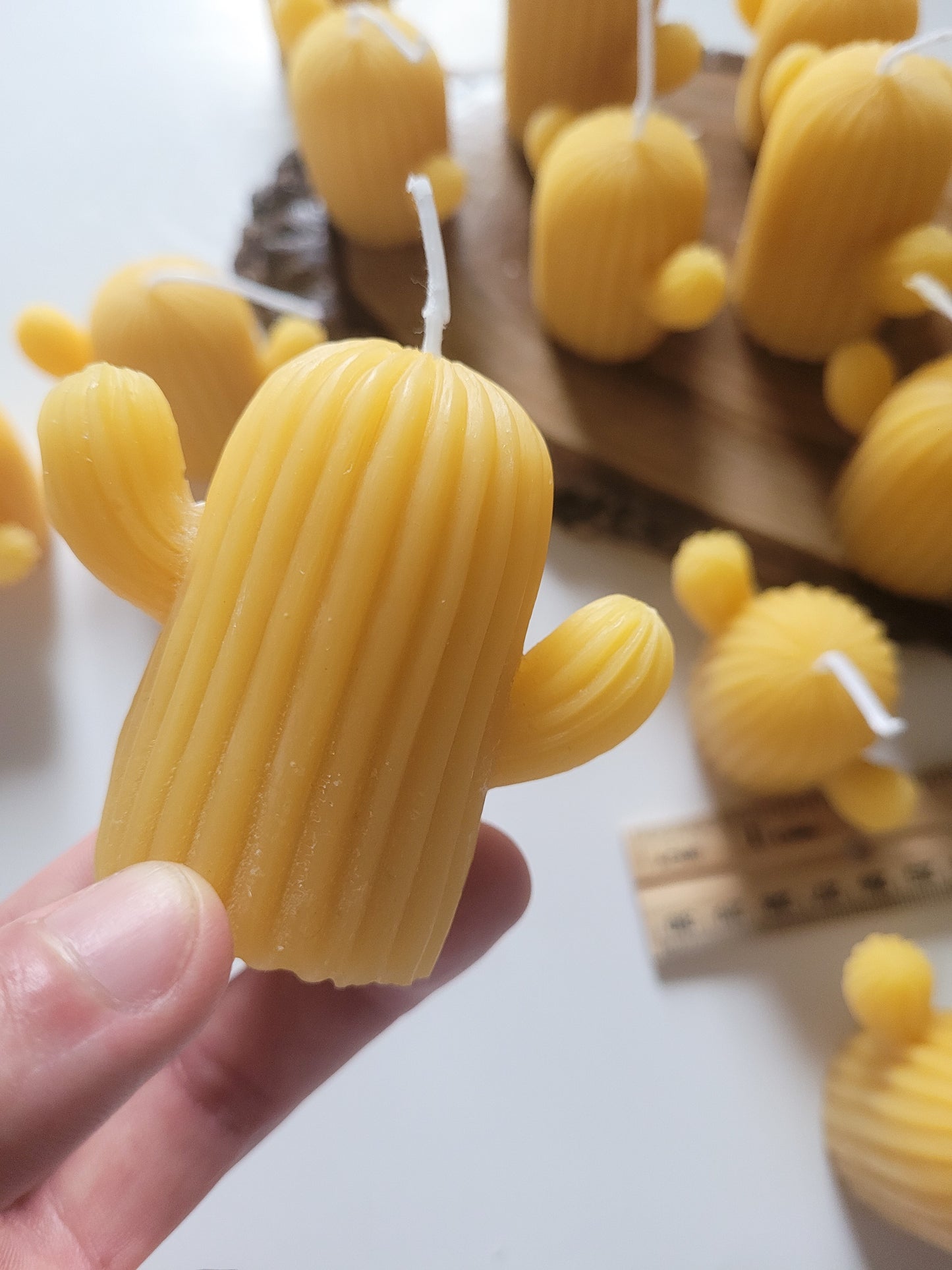 Beeswax Cactus Candles