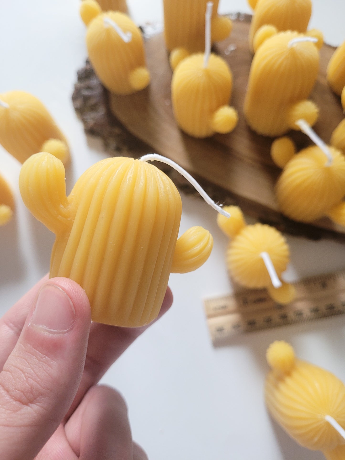 Beeswax Cactus Candles