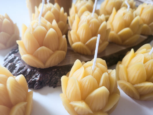 Beeswax Lotus Candles