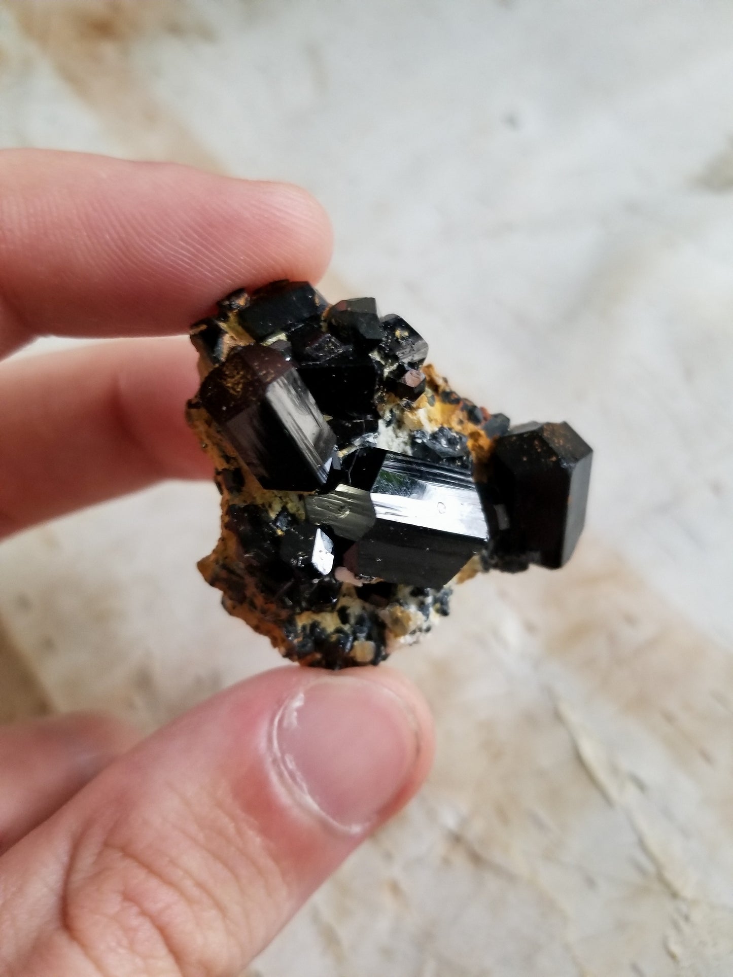Black Tourmaline clustered on matrix #4