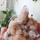 Cactus Quartz #1