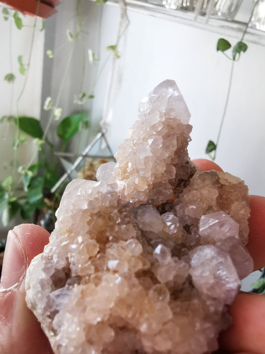 Cactus Quartz #1