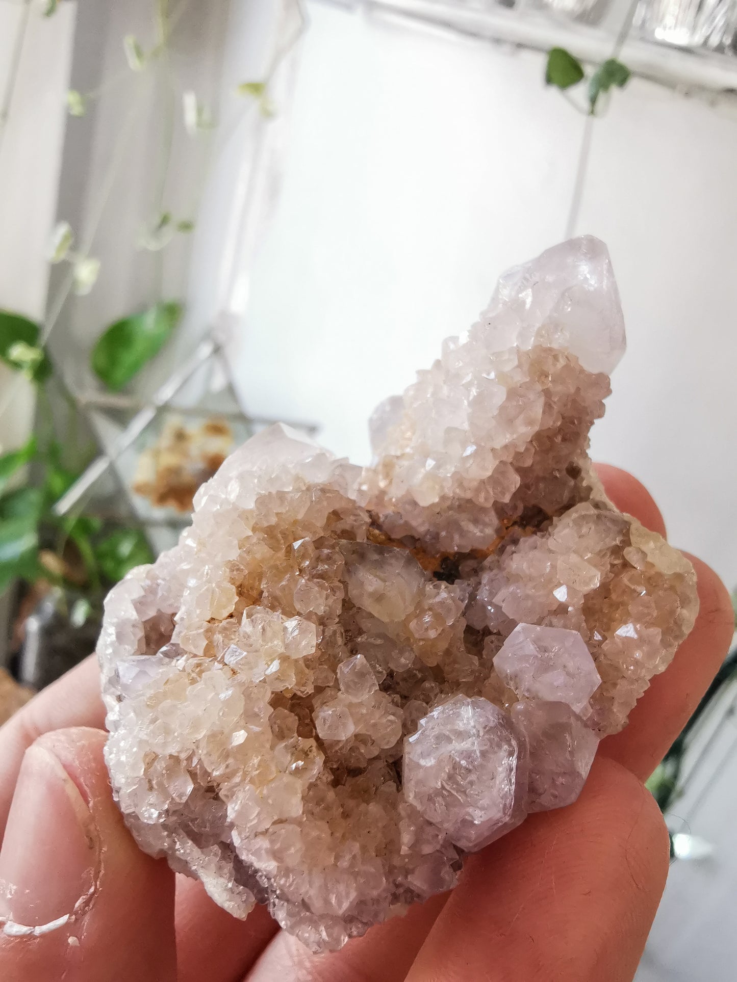 Cactus Quartz #1