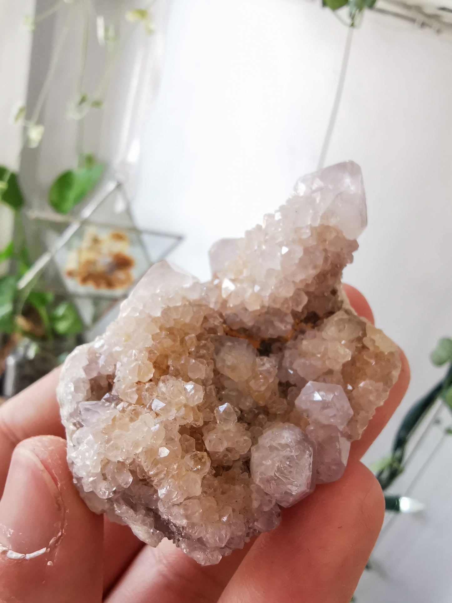 Cactus Quartz #1