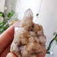 Cactus Quartz #1