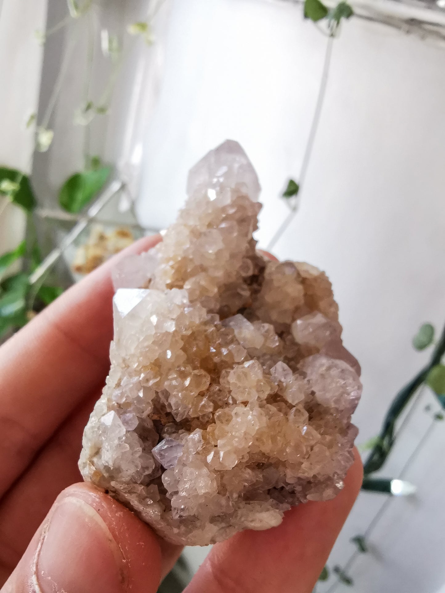 Cactus Quartz #1