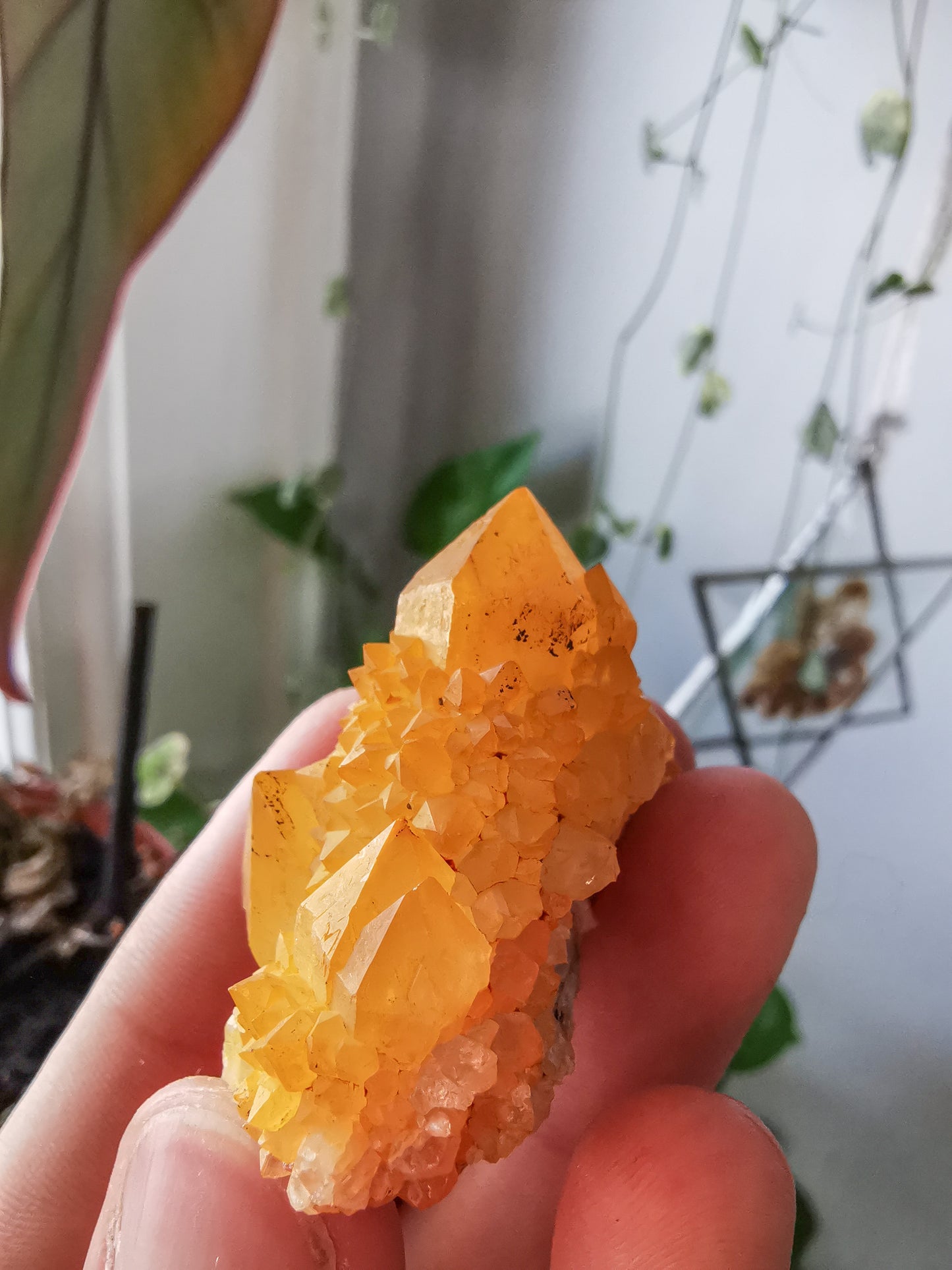 Cactus Quartz with Goethite #1