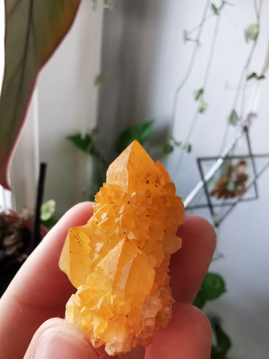 Cactus Quartz with Goethite #1