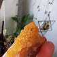 Cactus Quartz with Goethite #1