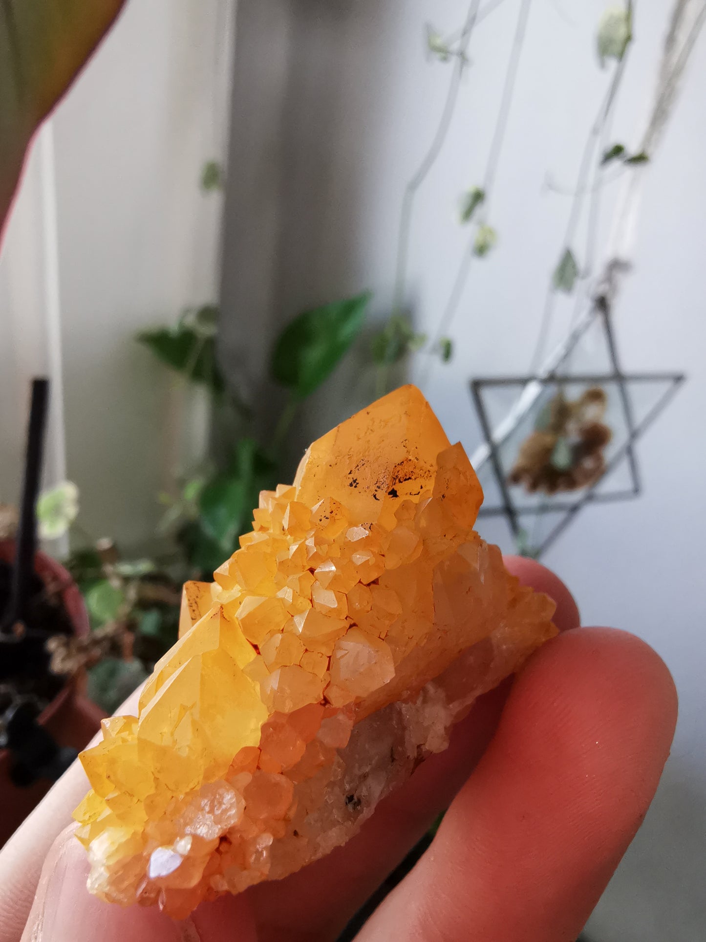 Cactus Quartz with Goethite #1