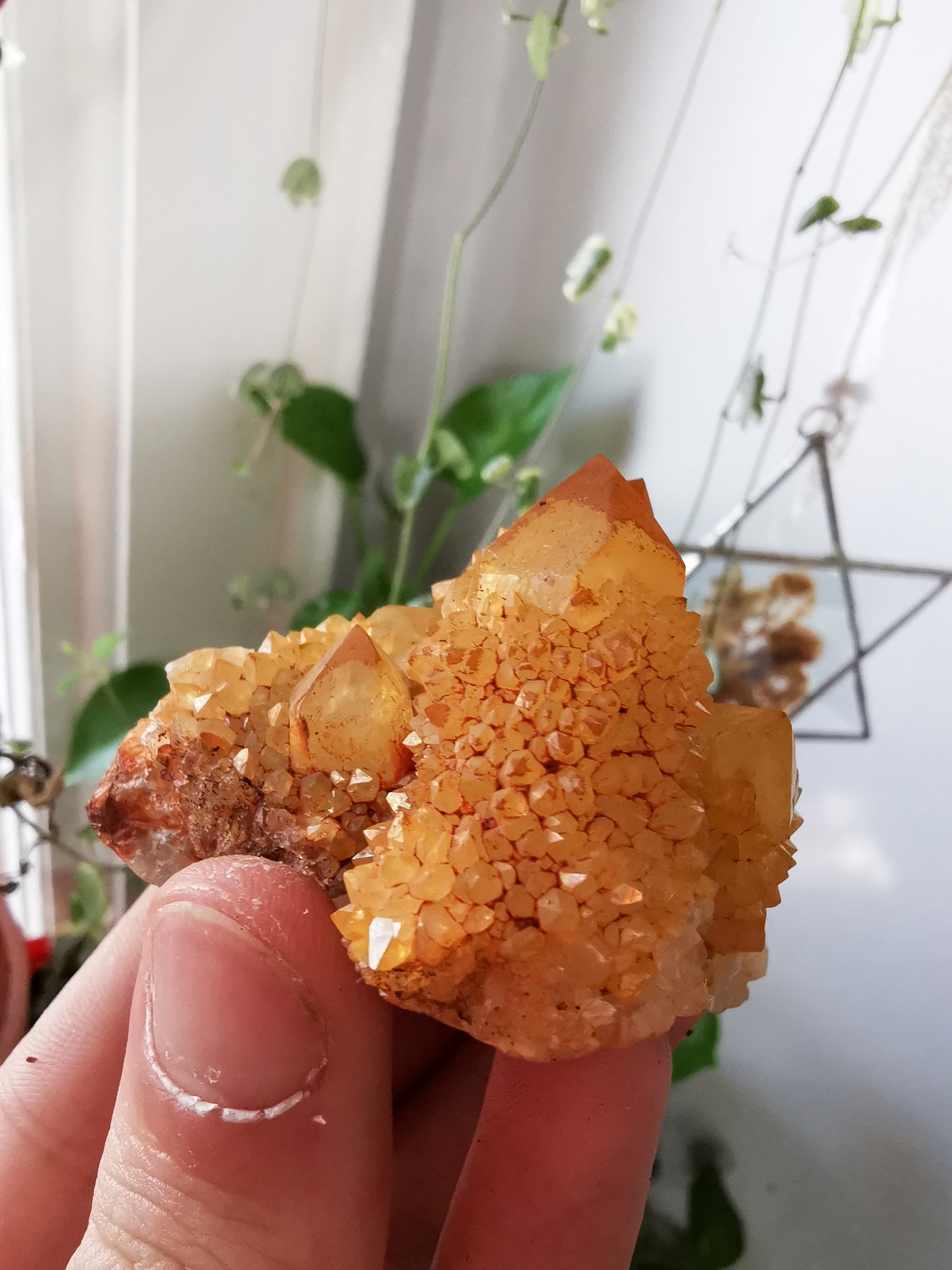Cactus Quartz with iridescent Goethite #2