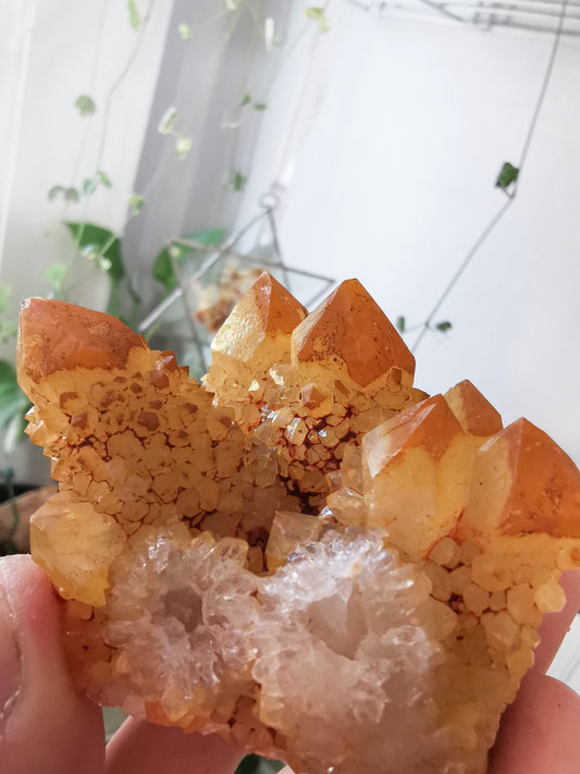 Cactus Quartz with iridescent Goethite #3