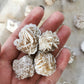 Desert Roses