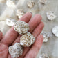 Desert Roses