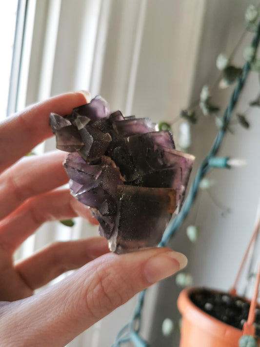 Purple Erongo Fluorite