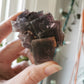 Purple Erongo Fluorite