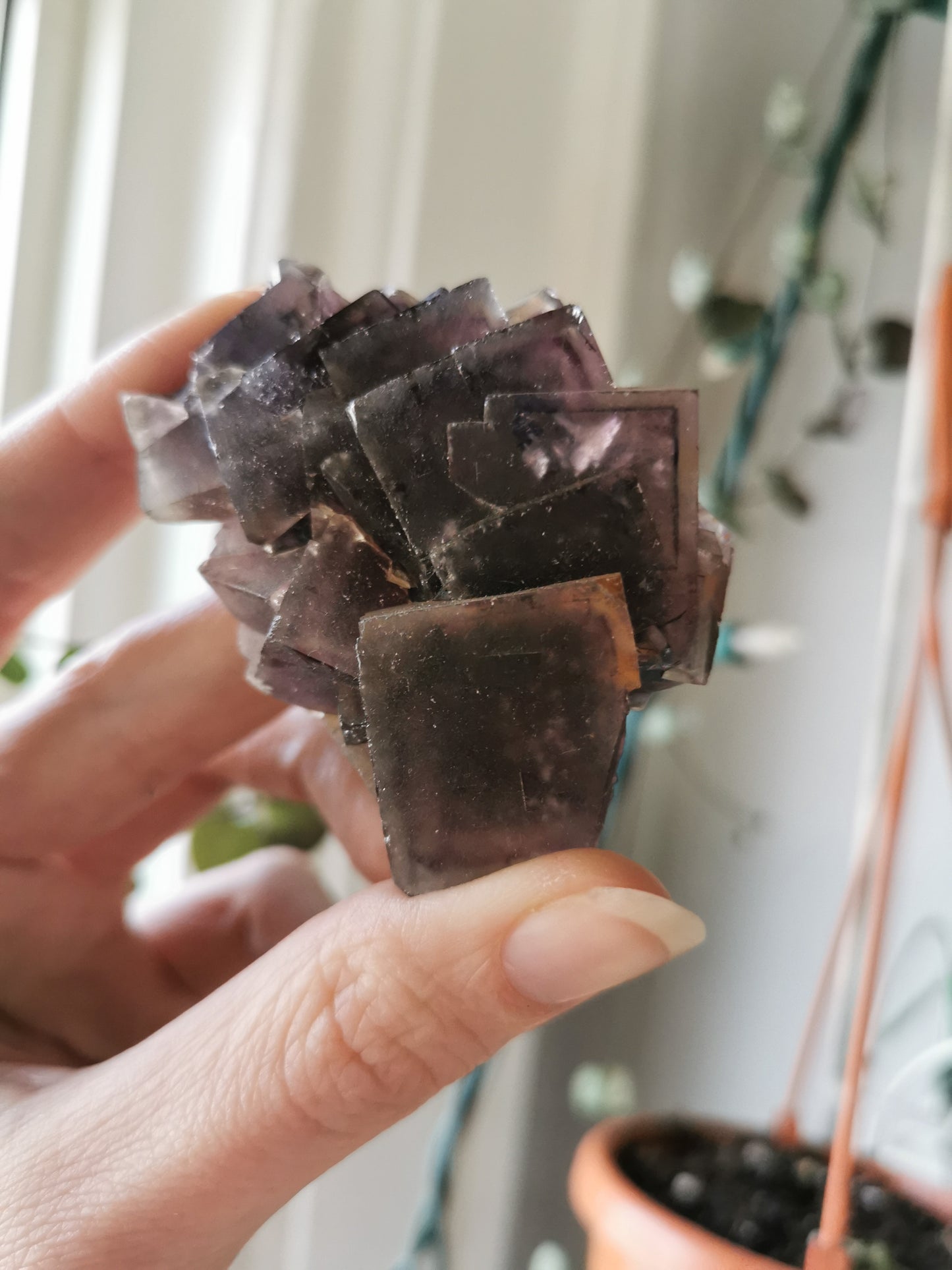 Purple Erongo Fluorite