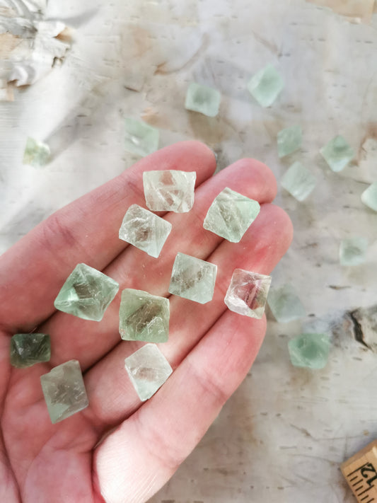 Fluorite Octahedrons