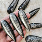 Orthoceras Fossil