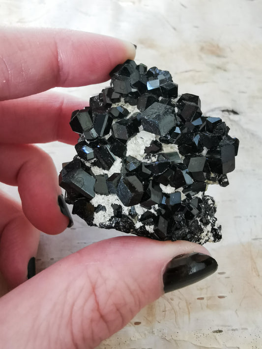 Black Tourmaline clustered on matrix #1